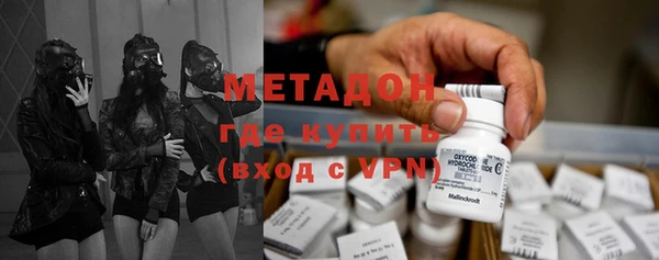 индика Богородск