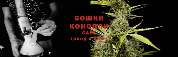 spice Богородицк