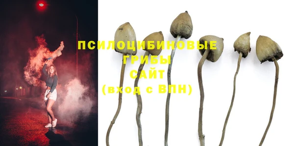 ALPHA PVP Нязепетровск